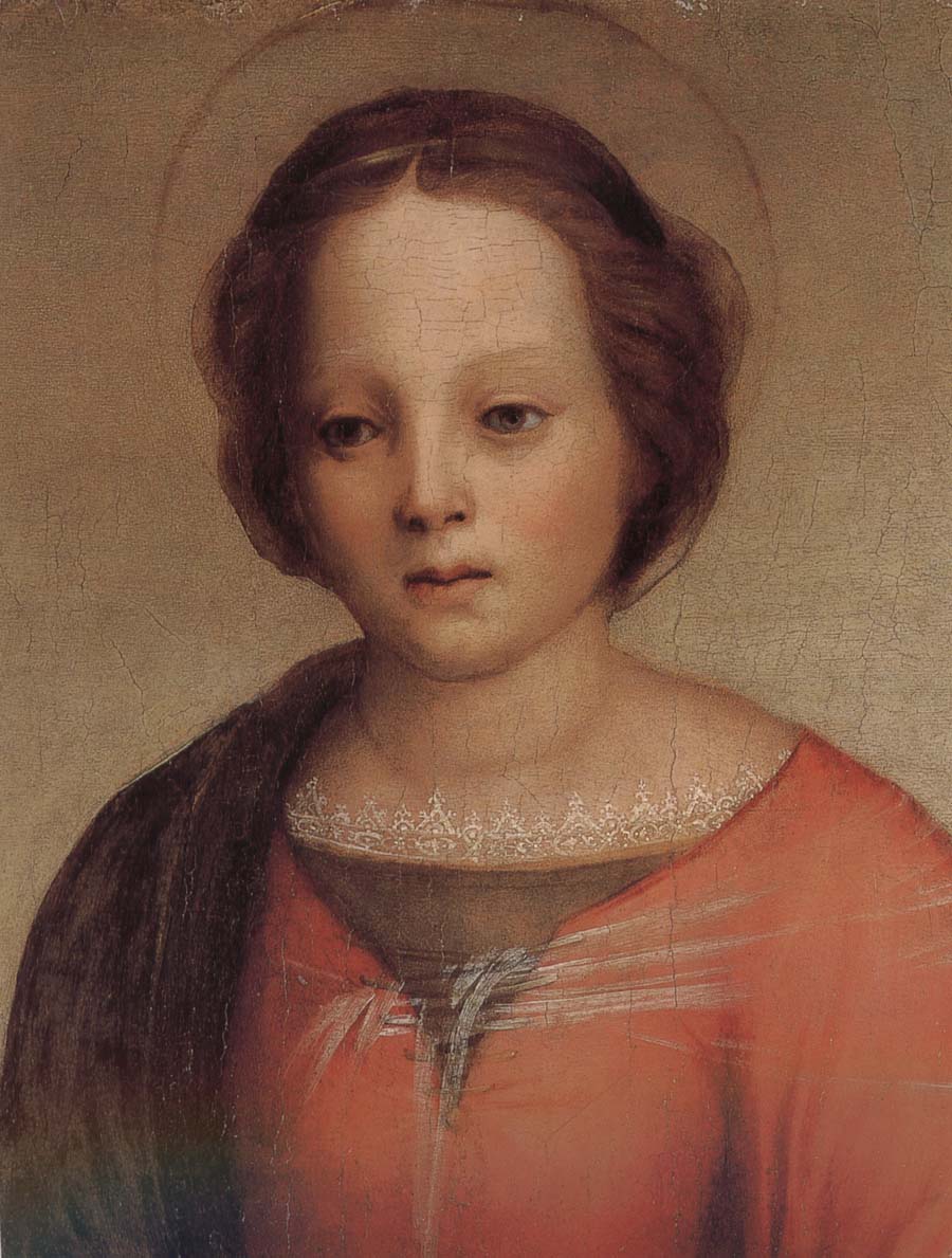 Andrea del Sarto Mary in detail